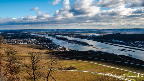 Blick über Rüdesheim in Richtung Mainz