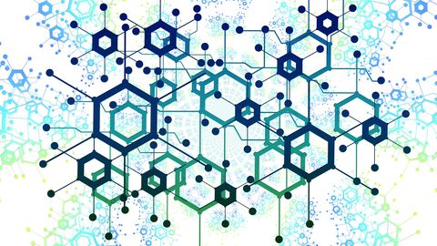 Nachhaltiges Netzwerk