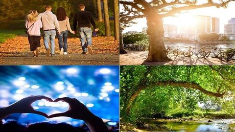 Vier Fotos in einem. Spaziergänger im Park. Mainufer Ff. Hand-Herz-Zeichen vor Konzertkulisse. Baum an seichten Fluss.
